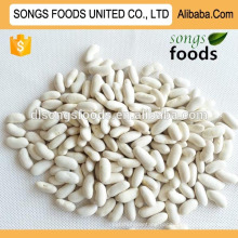 egyptian white kidney beans in China